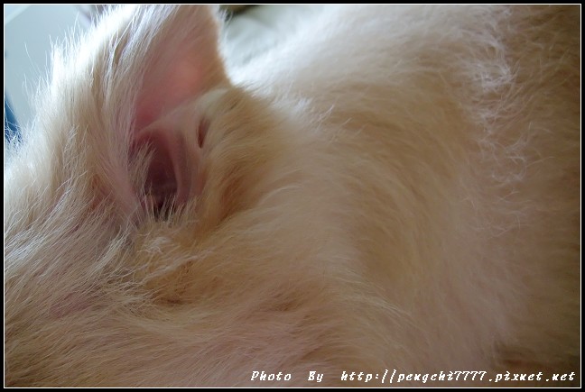 DSCF3349.JPG
