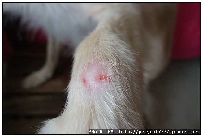 DSCF4861.JPG