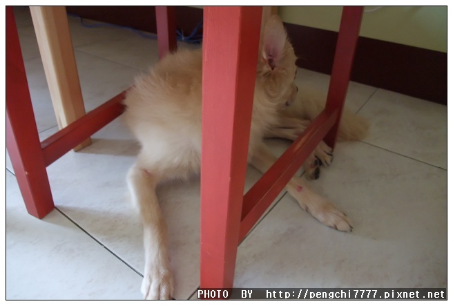 DSCF4867.JPG