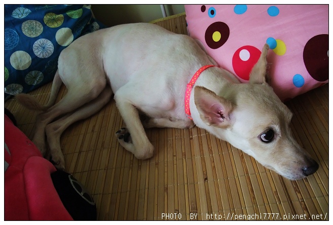DSCF5265.JPG