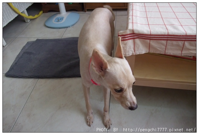 DSCF5286.JPG