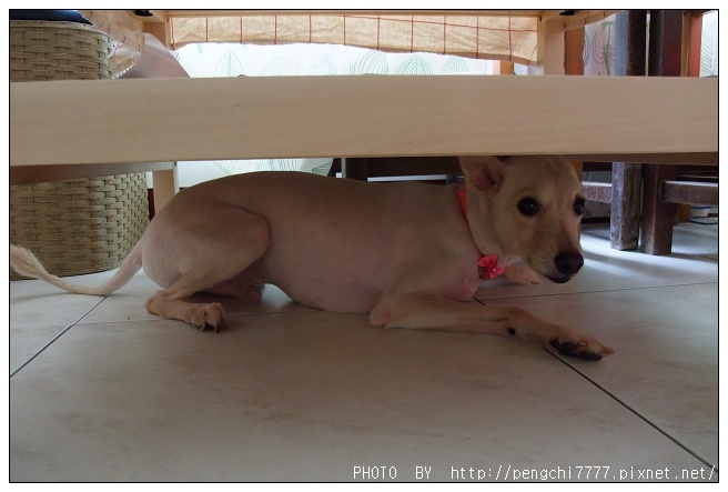 DSCF5297.JPG