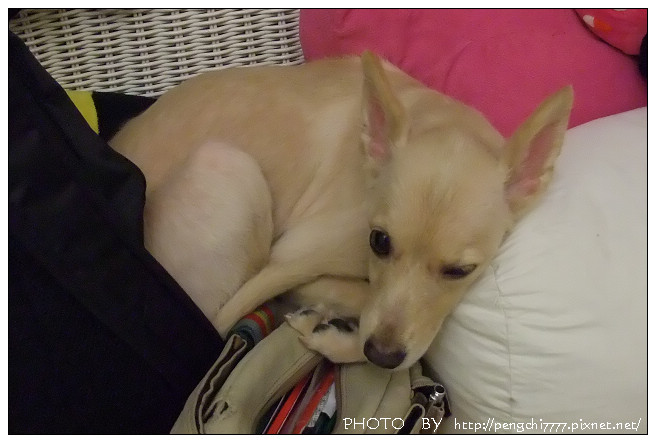 DSCF7775.JPG