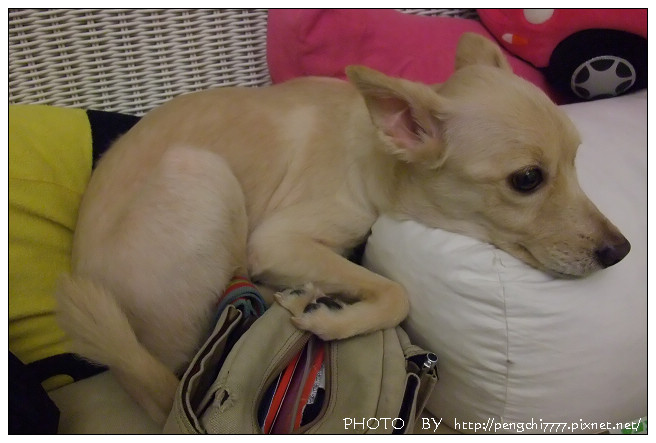 DSCF7797.JPG