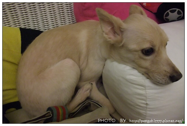 DSCF7800.JPG