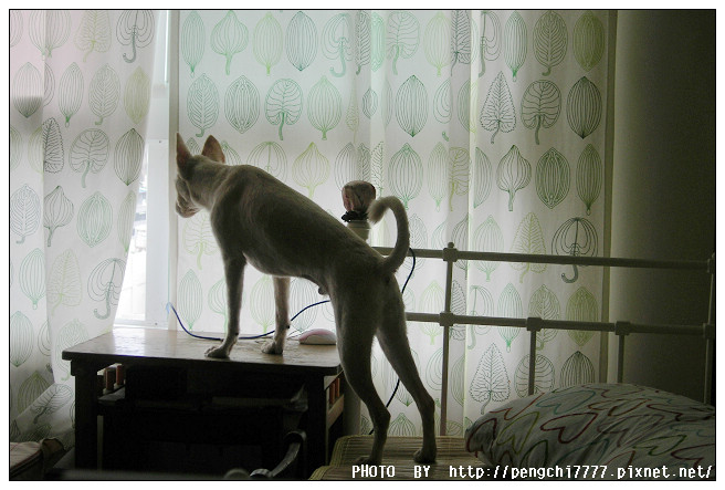 DSCN5810.JPG