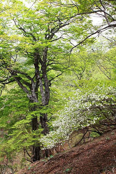 IMG_1945(E) IMG_1945(E)