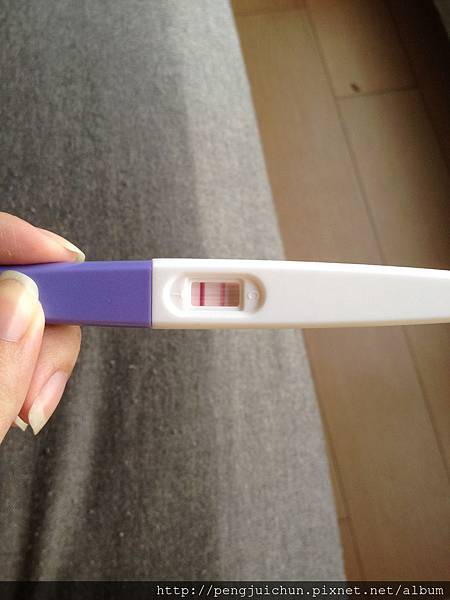 我的寶寶成長日記 我的寶寶成長日記