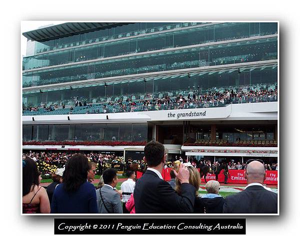 Melbourne Cup 2011 (8).jpg