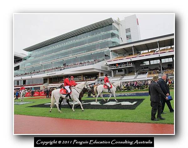 Melbourne Cup 2011 (18).jpg