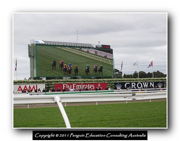 Melbourne Cup 2011 (29).jpg