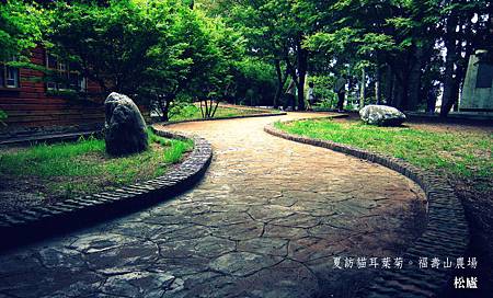 IMG_2157 IMG_2157