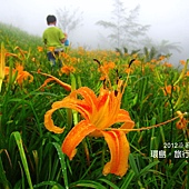 IMG_7288 IMG_7288