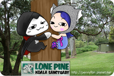 Koala01.JPG Koala01.JPG
