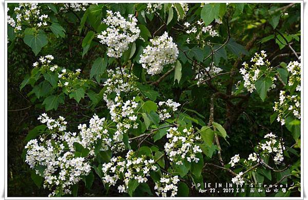 PEN_5671 PEN_5671
