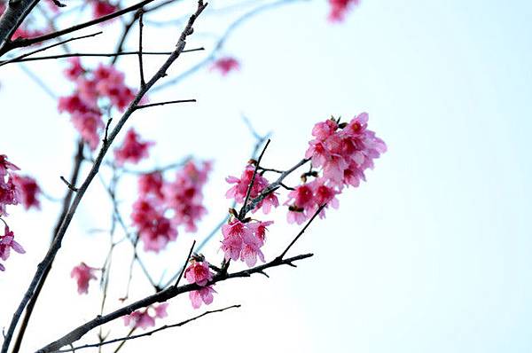 1504717816.jpg 1504717816.jpg