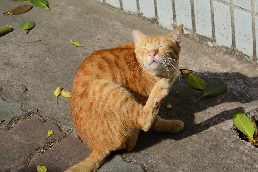 DSC_8975.jpg