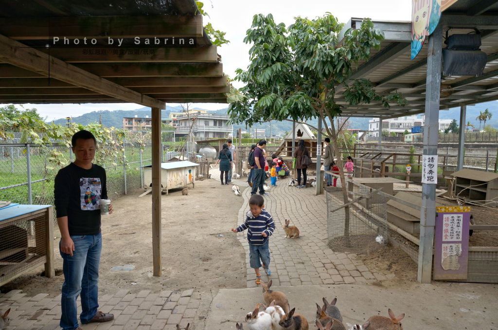 6.棗莊-小動物的家