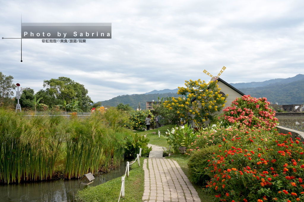 5.棗莊親子公園