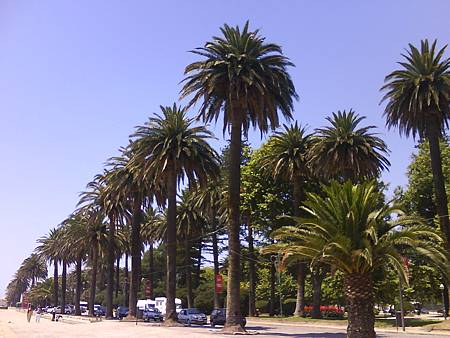 DSC01113.JPG DSC01113.JPG