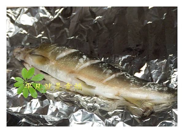 照片 009.jpg 照片 009.jpg