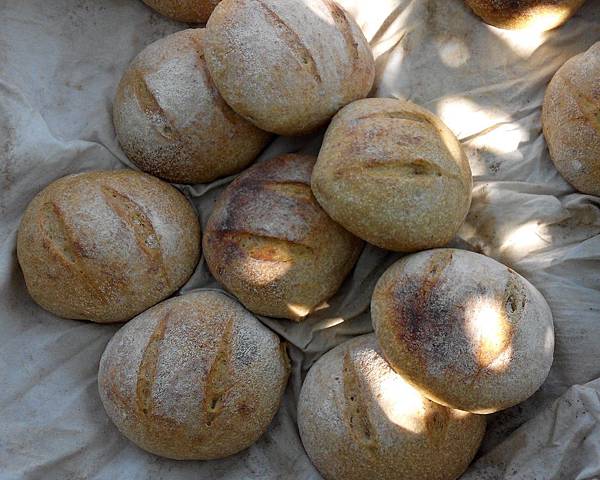 IMG_20140411_145836 IMG_20140411_145836