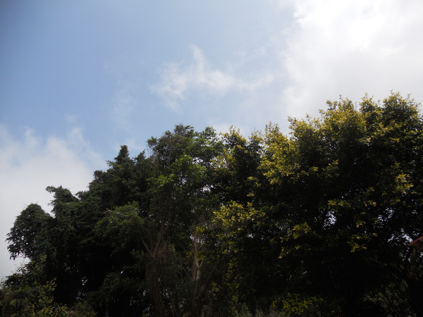 DSCN1290.JPG DSCN1290.JPG