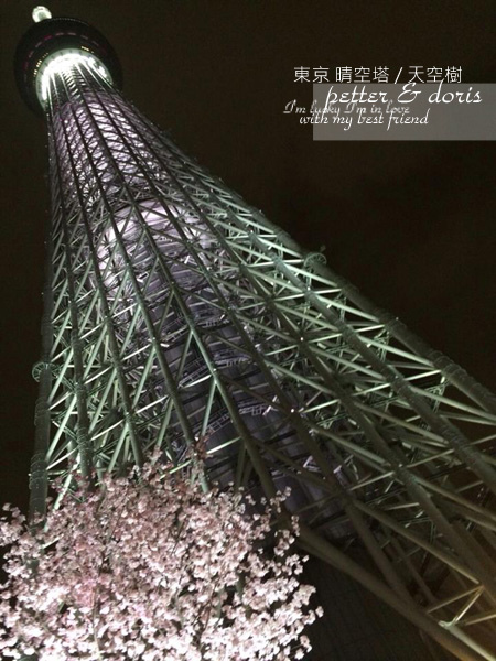 10885109_10205288961124144_6095974125717994676_n拷貝 10885109_10205288961124144_6095974125717994676_n拷貝