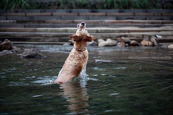 nEO_IMG_IMG_9934.jpg nEO_IMG_IMG_9934.jpg