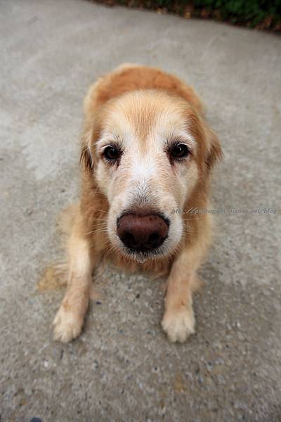 nEO_IMG_IMG_0402.jpg nEO_IMG_IMG_0402.jpg