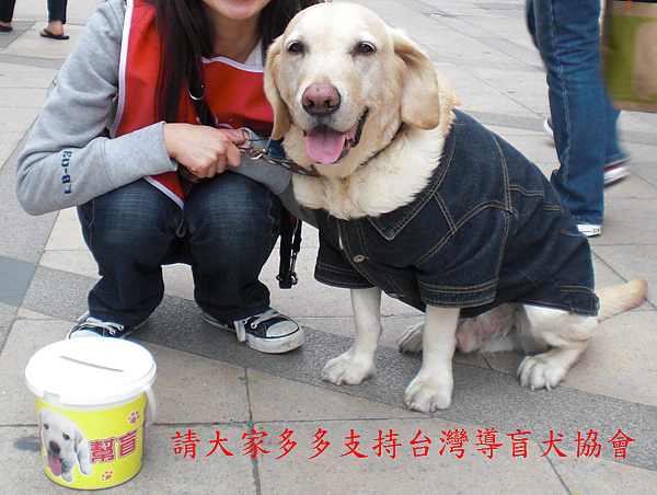 支持導盲犬.jpg