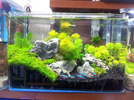 20130117_094016 20130117_094016