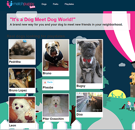 MatchPuppy MatchPuppy