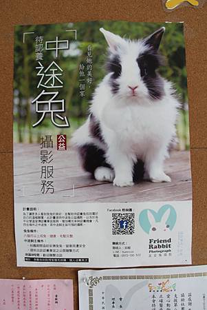 中途兔海報 中途兔海報