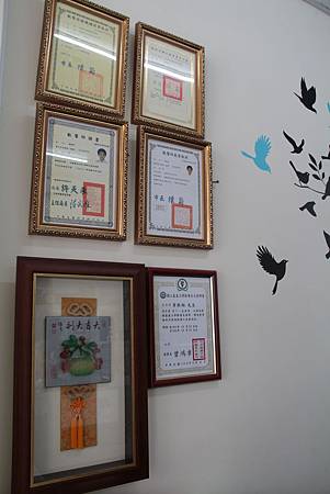 院長的執照 院長的執照