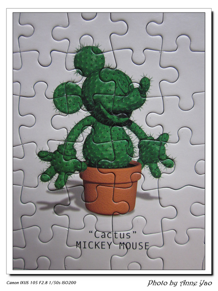 IMG_4007.jpg IMG_4007.jpg