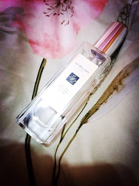 1794788_800790173269370_970881747_n (1)