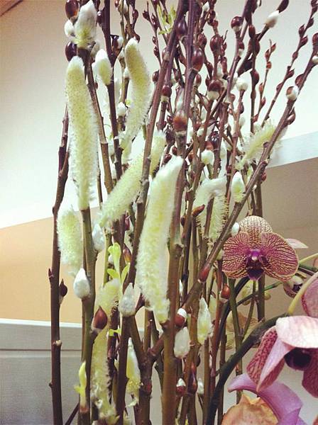 1898019_810461008968953_645254792_n 1898019_810461008968953_645254792_n