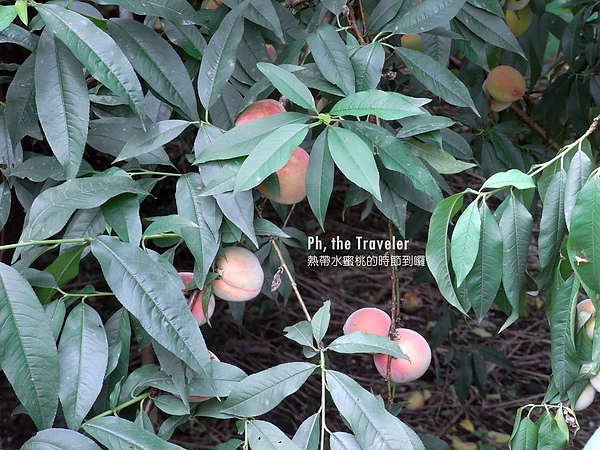 RIMG0792.jpg RIMG0792.jpg