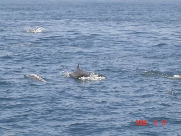 DSC08002-1.jpg DSC08002-1.jpg