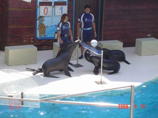 DSC08024-1.jpg DSC08024-1.jpg