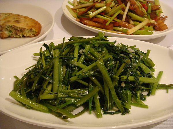 DSC08096.JPG DSC08096.JPG