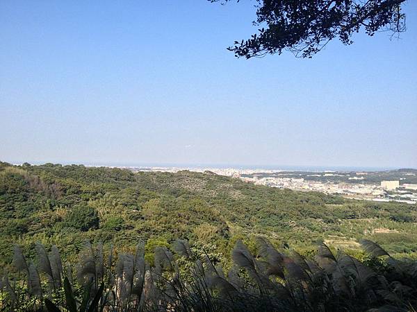 IMG_7711.JPG IMG_7711.JPG