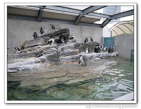 P1100107.jpg P1100107.jpg