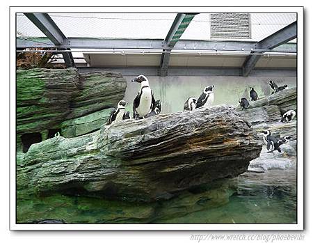 P1100110.jpg P1100110.jpg