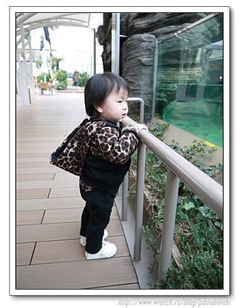 P1100117.jpg P1100117.jpg