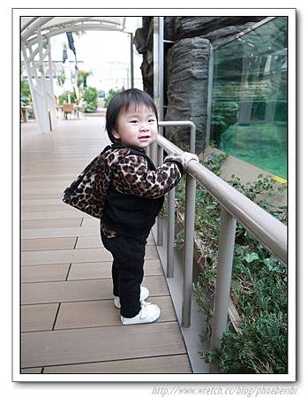 P1100118.jpg P1100118.jpg