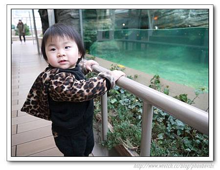 P1100121.jpg P1100121.jpg