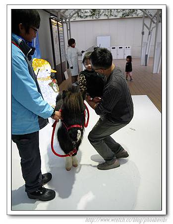 P1100127.jpg P1100127.jpg