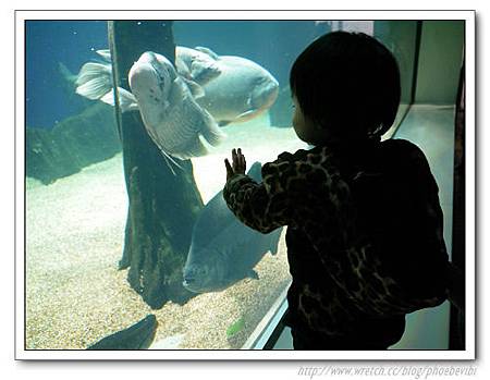 P1100133.jpg P1100133.jpg